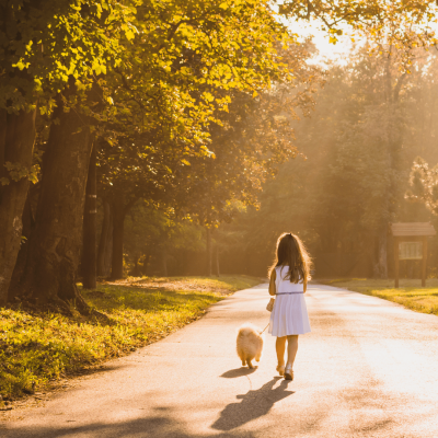 Añadir un poco de texto (3)